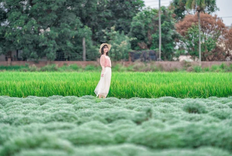 IG@garboodiary 授權提供