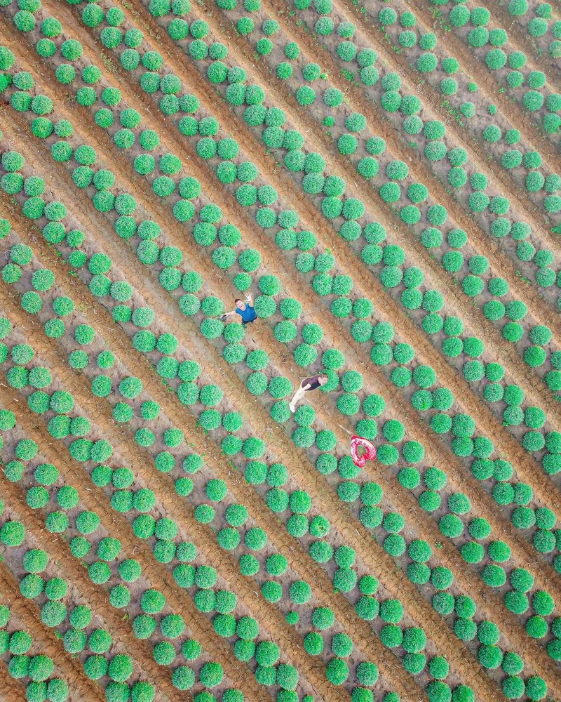 IG@taki788778 授權提供