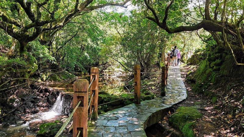 水車寮步道 水車寮步道