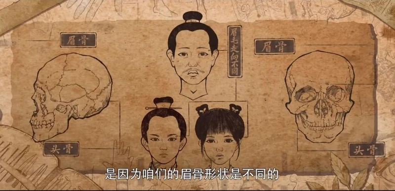 御賜小仵作 御賜小仵作