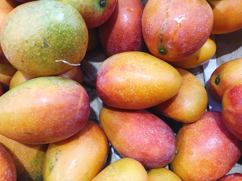 ▲芒果營養價值豐富。