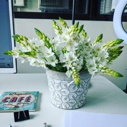 圖片來源／Joyce Huang臉書