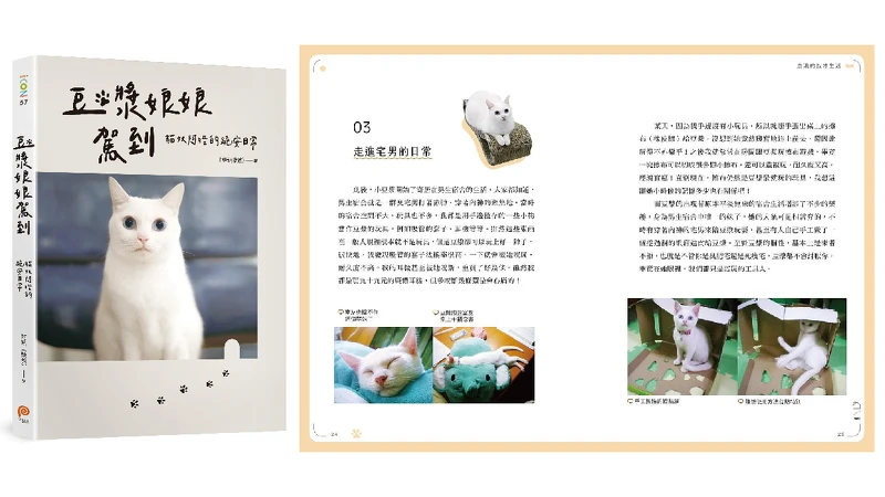 人氣YouTuber貓咪《豆漿娘娘駕到: 貓奴阿晧的跪安日常》連續6週蟬聯誠品書店暢銷榜 人氣YouTuber貓咪《豆漿娘娘駕到: 貓奴阿晧的跪安日常》連續6週蟬聯誠品書店暢銷榜