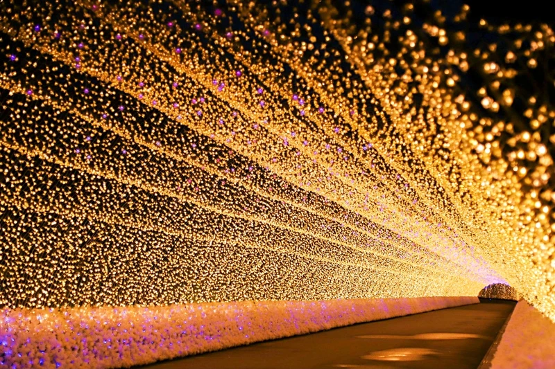 「日本最大燈海」名花之里燈海