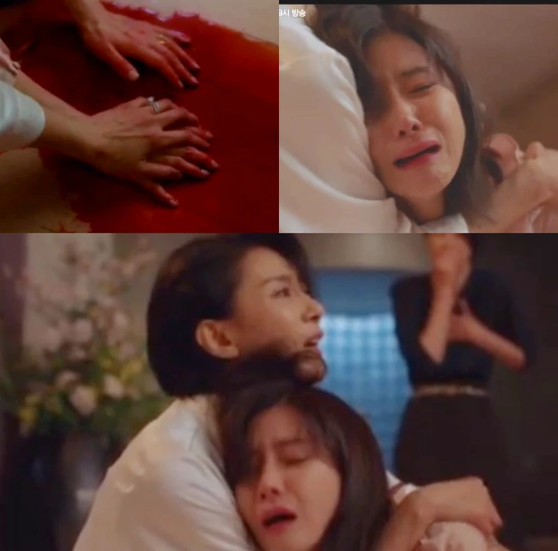 我的上流世界 李寶英演技精湛 我的上流世界 李寶英演技精湛