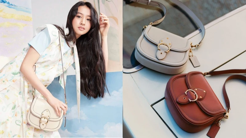 Coach Beat Saddle,NT25,800 Coach Beat Saddle,NT25,800