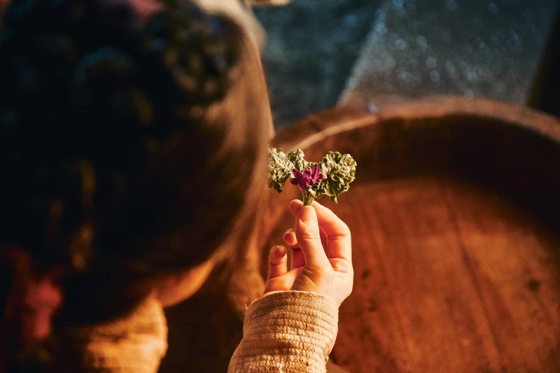 全智賢《屍戰朝鮮：雅信傳》7月23日上線