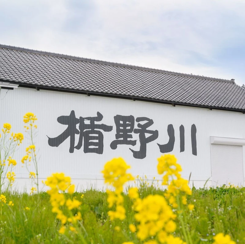 楯野川酒造有著180年的歷史。