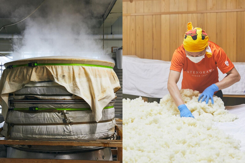 酒楯野川酒造認真專注於在釀造頂尖純米大吟釀的製酒技術。