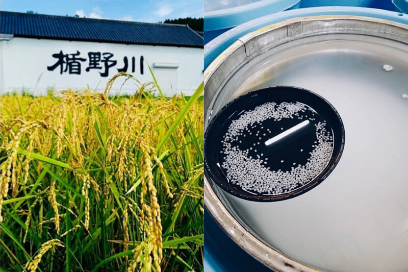 山形縣可是全國屈指可數的穀倉地帶，有良好的酒米供應製酒。