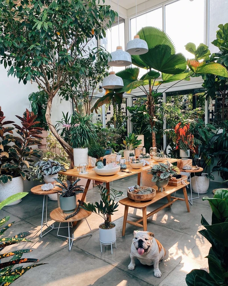 最美的植物專賣店。