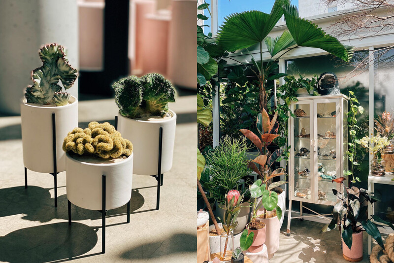 室內採光充足。