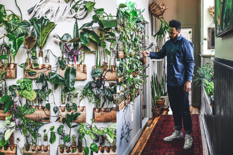 走廊有自己做的植物牆。