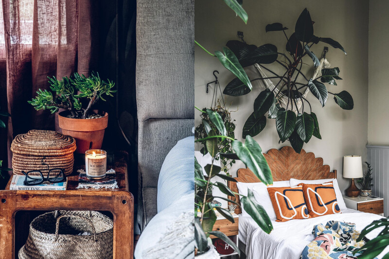 房間也不忘用植物妝點。