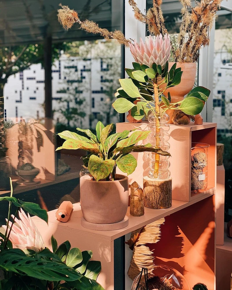 販售許多特色花器。