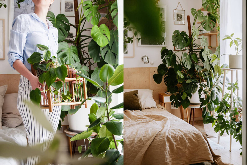 利用空間角落佈置。