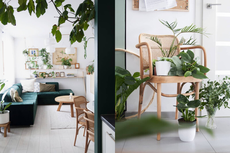 喜歡時常移動植栽佈置。