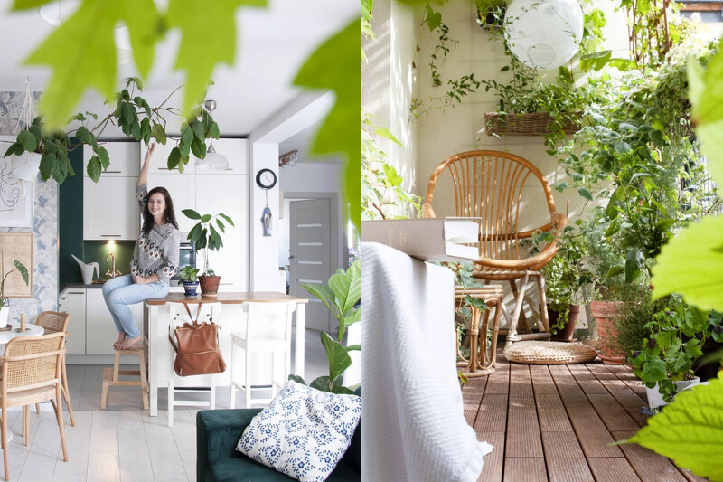 白色室內空間搭配綠色植物，看起來非常清新。