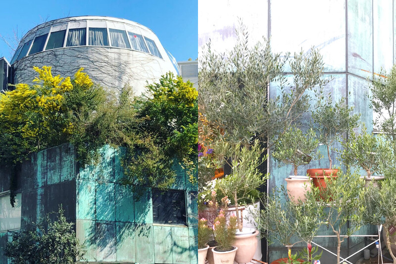 東京店的外觀很特別。