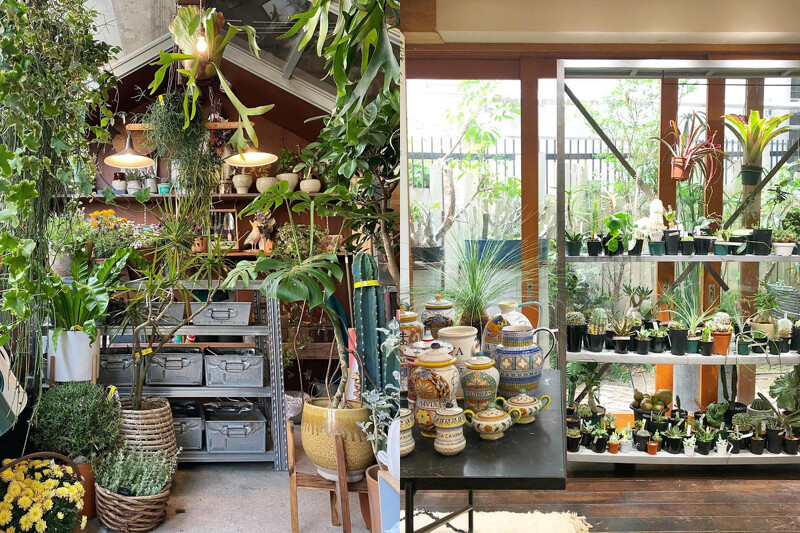 空間都隱身在一片綠意中。