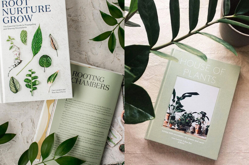 （左）《Root Nurture Grow 》、（右）《House of Plants》。