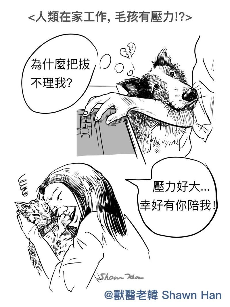 ▲毛小孩的壓力可能來自於人類。（圖 / 翻攝自獸醫老韓Facebook粉絲專頁）