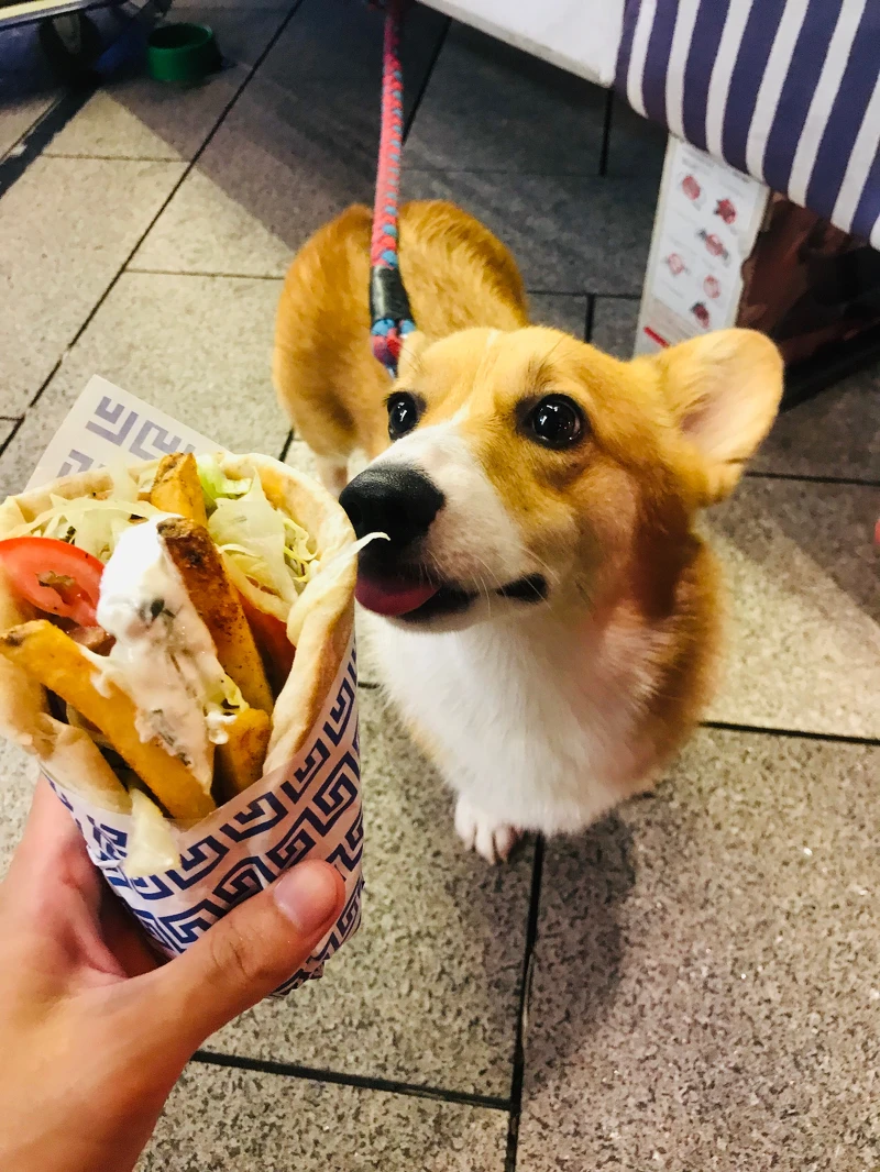 ▲圖/方俞 & 君毅提供 ▲圖/方俞 & 君毅提供