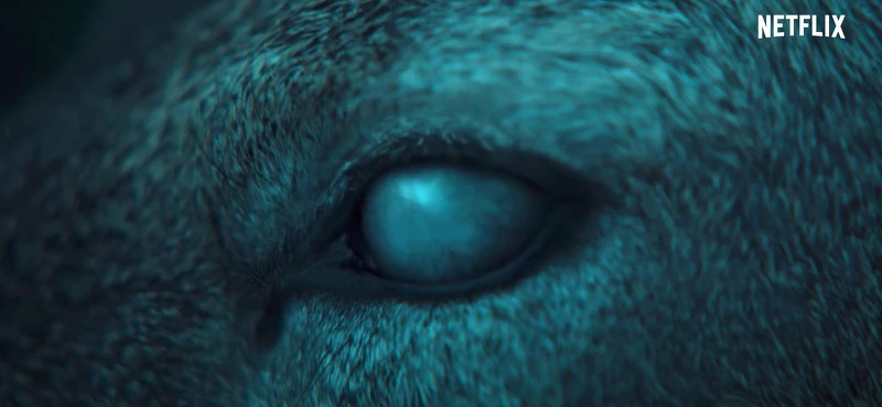 全智賢 《屍戰朝鮮：雅信傳》正面終於亮相！90秒動魄驚心動魄喪屍再襲