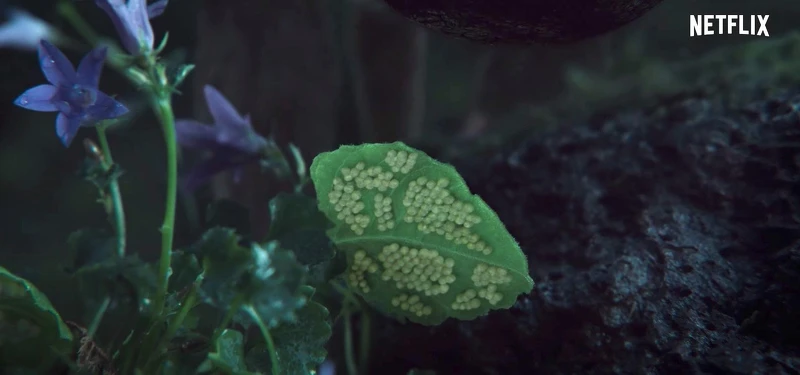 全智賢 《屍戰朝鮮：雅信傳》正面終於亮相！90秒動魄驚心動魄喪屍再襲