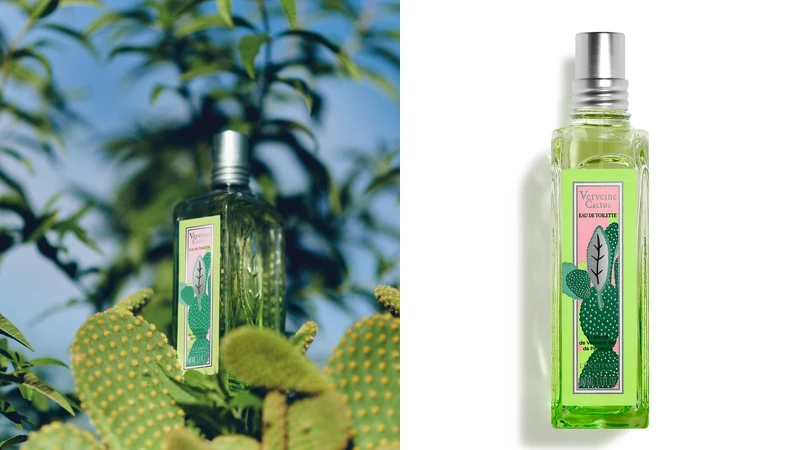 L’OCCITANE歐舒丹2021仙人掌馬鞭草限量系列淡香水
