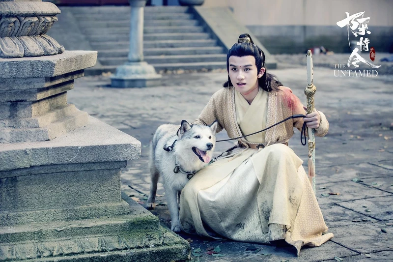 陳情令 陳情令