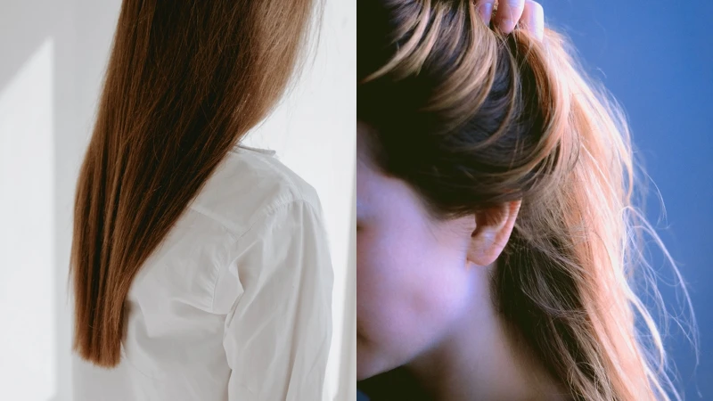 圖/unsplash 圖/unsplash