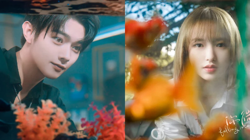 你微笑時很美 許凱 程瀟