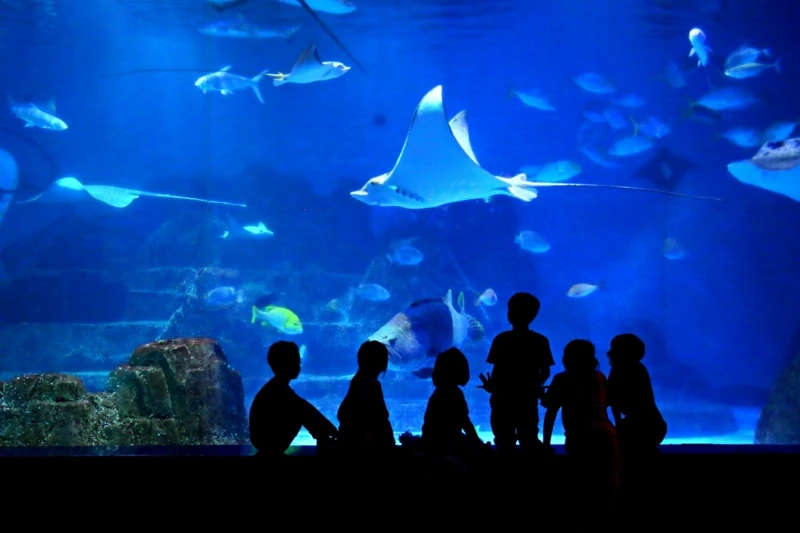 花蓮遠雄海洋公園