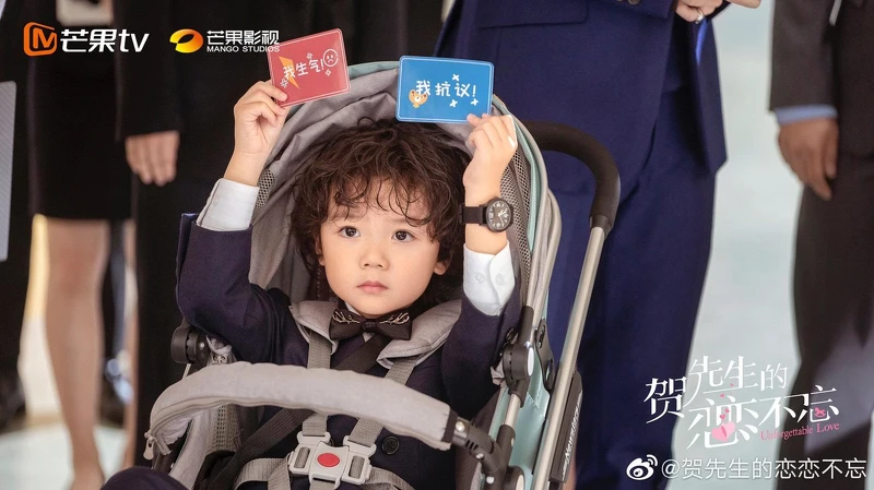 賀先生的戀戀不忘 賀先生的戀戀不忘