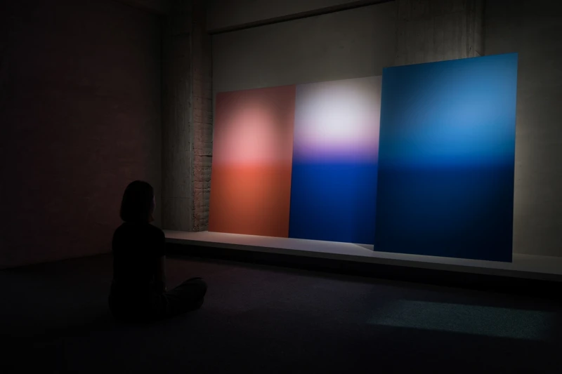 卡洛琳·阿萊的作品於《希望》展覽現場。 卡洛琳·阿萊的作品於《希望》展覽現場。