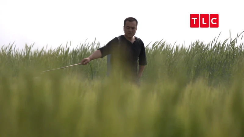 陳子育堅持不打農藥、不用化肥，用環保肥料強化土質，以最自然的方式對待土地。