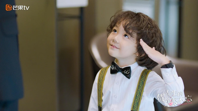 賀先生的戀戀不忘 賀先生的戀戀不忘