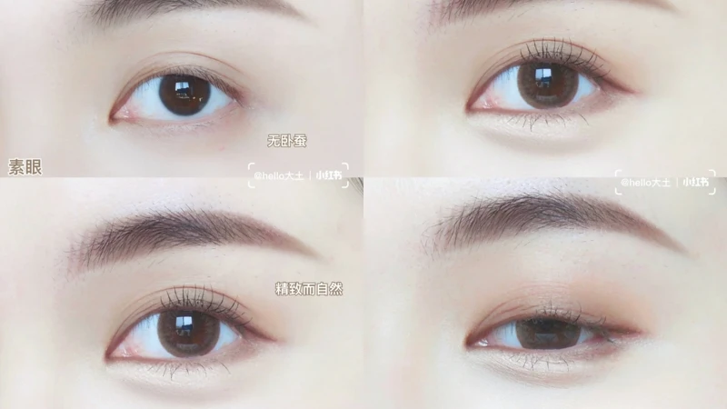 圖／小紅書＠Hello王大土