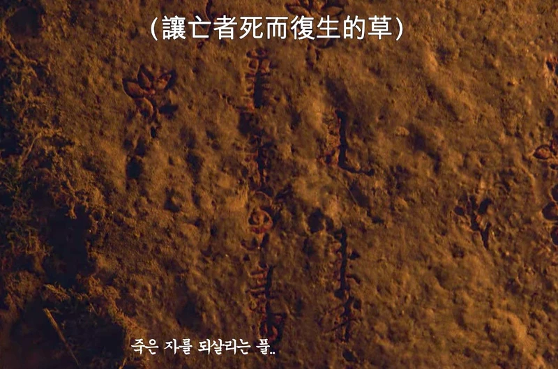 「國師堂」壁畫寫出了「生死草」警語＆使用方法