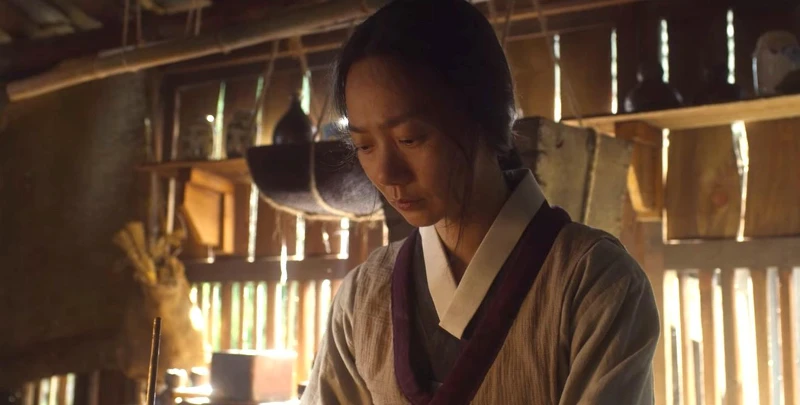 《雅信傳》＆《屍戰朝鮮》「生死草」屍變＆傳播方式不同