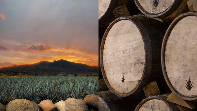 Clase Azul墨西哥頂級龍舌蘭酒