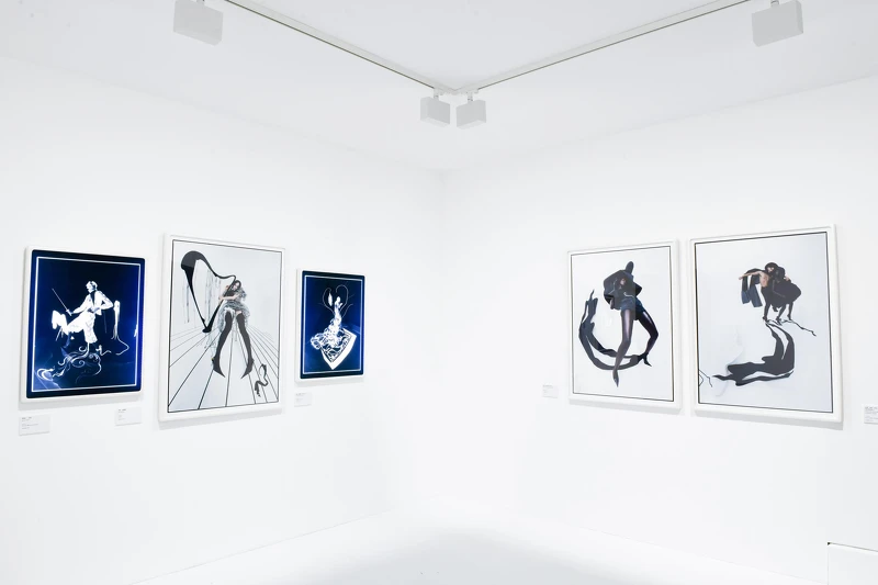 Tim Walker特展-第二展區2-3筆墨