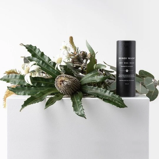 BONDI WASH白千層＆檸檬草狗狗乾洗粉100g，NT480