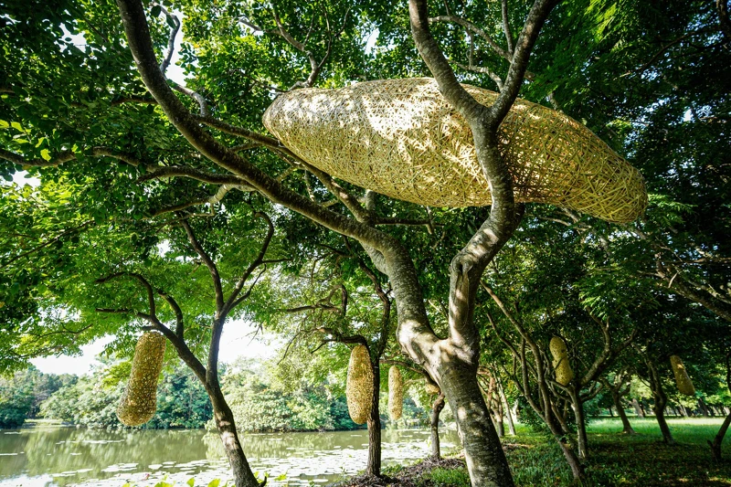 縱谷大地藝術季-漂鳥197 徐暋盛作品 《蛻變前的等待》 縱谷大地藝術季-漂鳥197 徐暋盛作品 《蛻變前的等待》