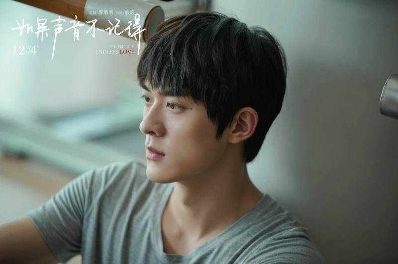 如果聲音不記得 如果聲音不記得