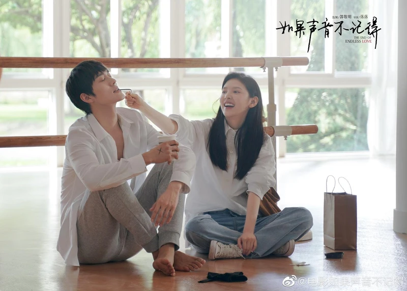 如果聲音不記得 如果聲音不記得