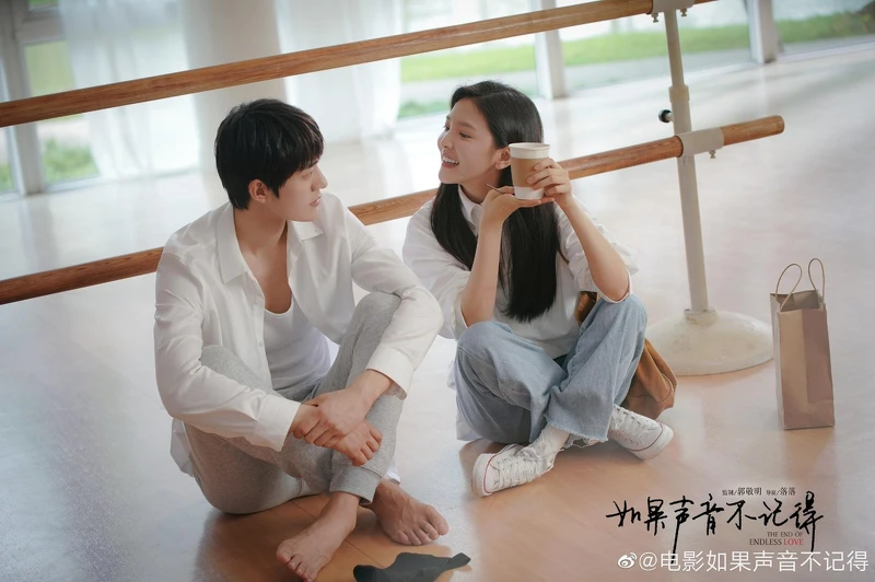 如果聲音不記得 如果聲音不記得