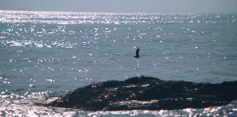 金宣虎、申敏兒《海岸村恰恰恰》 拍攝地「慶尚北道浦項市」  金宣虎、申敏兒《海岸村恰恰恰》 拍攝地「慶尚北道浦項市」