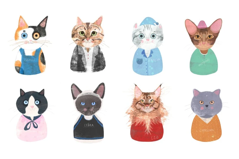 為美麗佳人繪製的2021星座貓貓。photo/RedLouise 為美麗佳人繪製的2021星座貓貓。photo/RedLouise